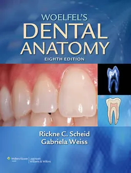 Woelfel's dental anatomy; Rickne C. Scheid; 2012