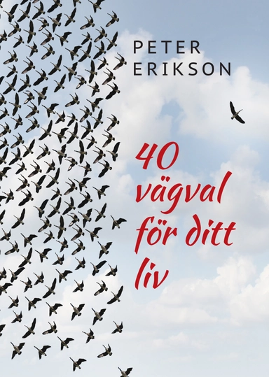 40 vägval för ditt liv; Peter Erikson; 2016