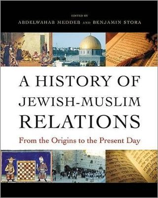 A history of Jewish-Muslim relations : from the origins to the present day; Abdelwahab Meddeb, Benjamin Stora, Jane Marie Todd, Michael B. Smith; 2013