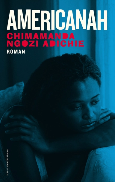 Americanah; Chimamanda Ngozi Adichie; 2013