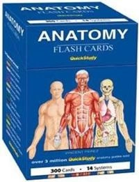 Anatomy Flash Cards; Vincent Perez; 2008