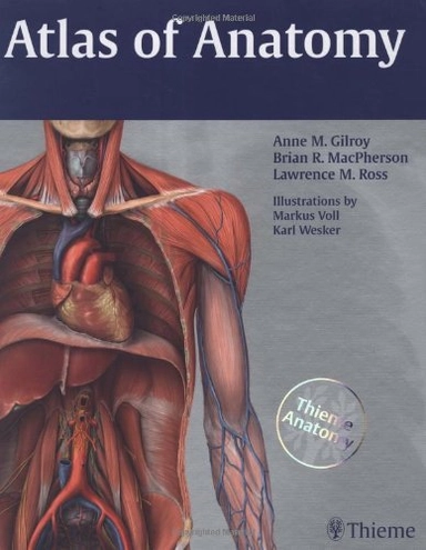 Atlas of anatomy; Anne M. Gilroy; 2008