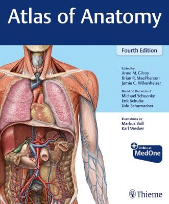 Atlas of anatomy; Anne M. Gilroy, Brian R. MacPherson, Jamie C. Wikenheiser, Markus M. Voll, Karl Wesker; 2020