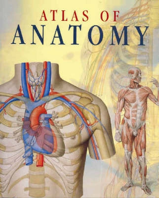 Atlas of Human Anatomy; Giovanni Iazzetti, Enrico Rigutti; 2006