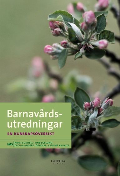 Barnavårdsutredningar : en kunskapsöversikt; Knut Sundell, IMS, Institutet för utveckling av metoder i socialt arbete, Tine Egelund, Cecilia Andrée Löfholm, Catrine Kaunitz; 2007