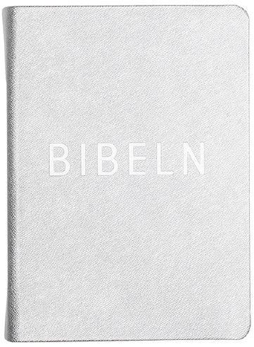 Bibel konfirmand silver; 2015