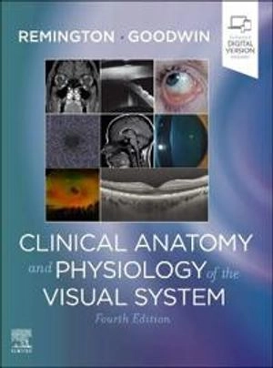 Clinical Anatomy and Physiology of the Visual System; Lee Ann Remington; 2021