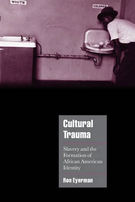 Cultural trauma : slavery and the formation of African American identity; Ron Eyerman; 2001