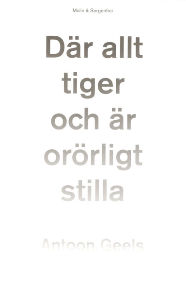 Där allt tiger och är orörligt stilla : skomakaren Hjalmar Ekström och mystiken; Antoon Geels; 2017