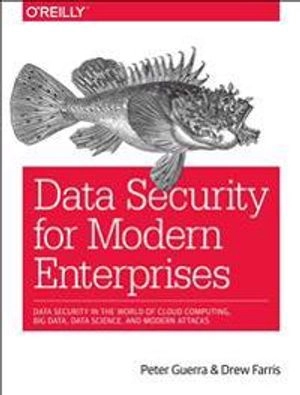 Data Security for Modern Enterprises; Peter Guerra, Drew Farris; 2017