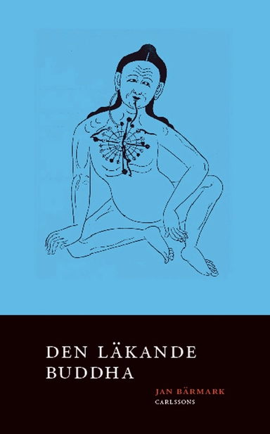 Den läkande Buddha; Jan Bärmark; 2007