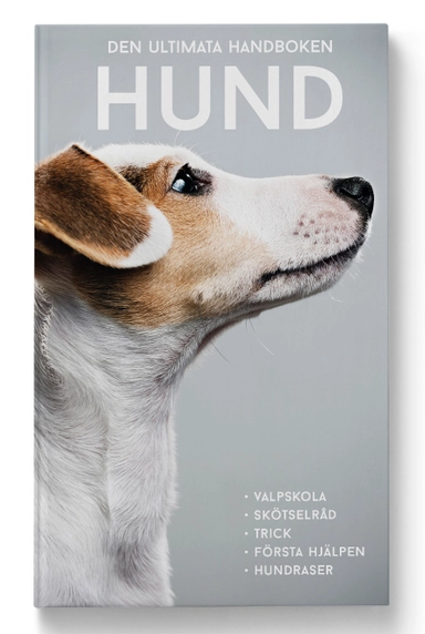 Den ultimata handboken : hund; Agnes Olivia Eriksson; 2020