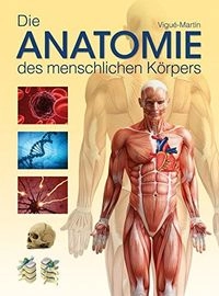 Die Anatomie des menschlichen Körpers; Jordi Vigué-Martín