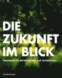 Die zukunft im blick - Nachhaltige entwicklung auf Schwedisch; Eva Krutmeijer; 2009