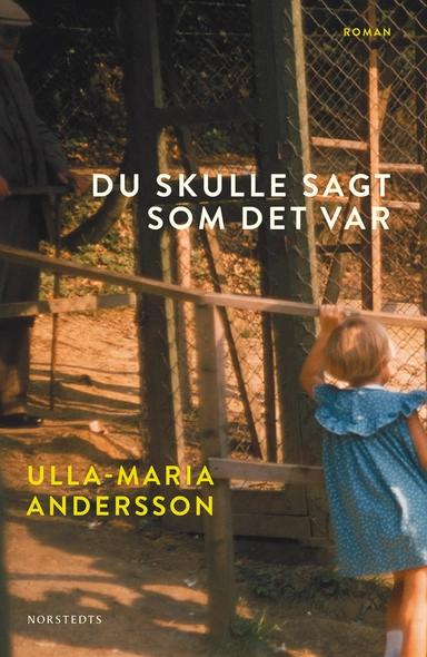 Du skulle sagt som det var; Ulla-Maria Andersson; 2017