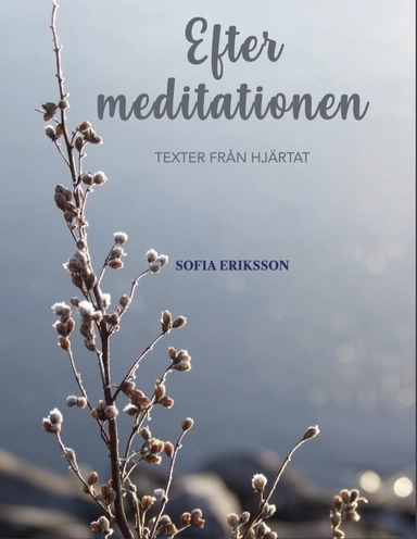 Efter meditationen: texter från hjärtat; Sofia Eriksson; 2019