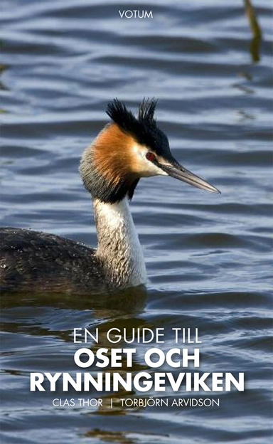 En guide till Oset och Rynningeviken; Clas Thor; 2012