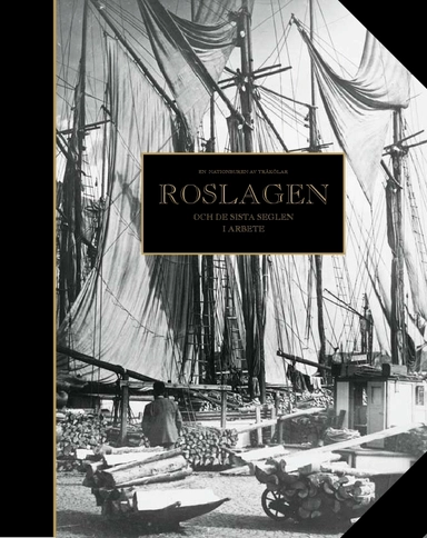 En nation buren av träkölar : Roslagen och de sista seglen i arbete; Hans Eklund; 2009