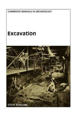 Excavation; Steve Roskams; 2001