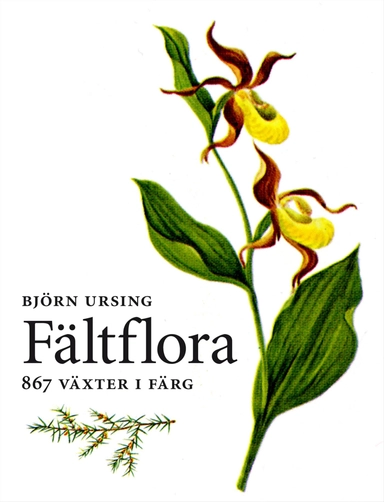 Fältflora : kärlväxter; Björn Ursing; 2013