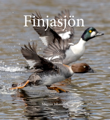 Finjasjön; Magnus Johansson; 2023