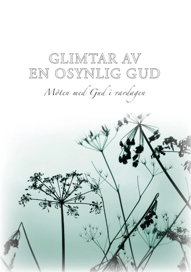 Glimtar av en osynlig Gud : möten med Gud i vardagen; Vicky Kuyper, Stephen Paroni; 2005