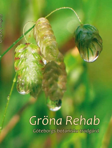 Gröna Rehab - Göteborgs botaniska trädgård; Eva-Lena Larsson; 2010