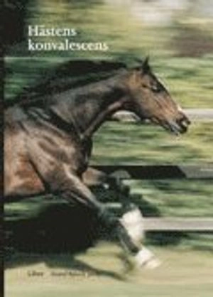 Hästens konvalescens; Gustaf Björck; 2004