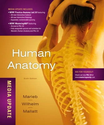 Human Anatomy, Media Update; Elaine Nicpon Marieb, Patricia Brady Wilhelm, Jon Mallatt; 2011