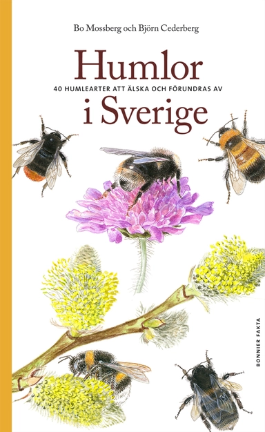 Humlor i Sverige : 40 arter att älska och förundras över; Bo Mossberg, Björn Cederberg; 2012