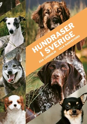 Hundraser i Sverige; Åsa Lindholm, Ulla Barvefjord; 2007