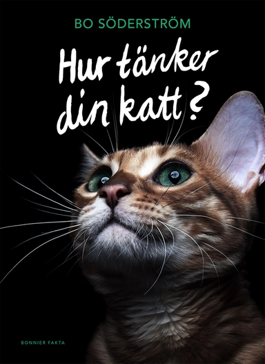 Hur tänker din katt?; Bo Söderström; 2019