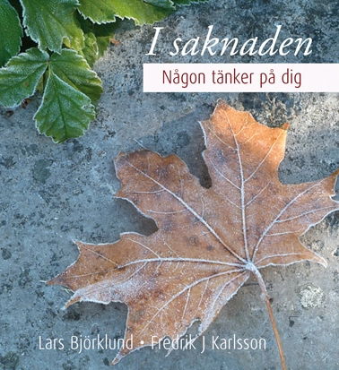 I saknaden; Lars Björklund, Fredrik J Karlsson; 2006