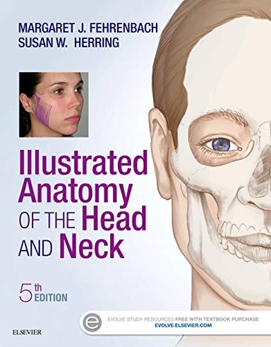 Illustrated anatomy of the head and neck; Margaret J. Fehrenbach; 2016