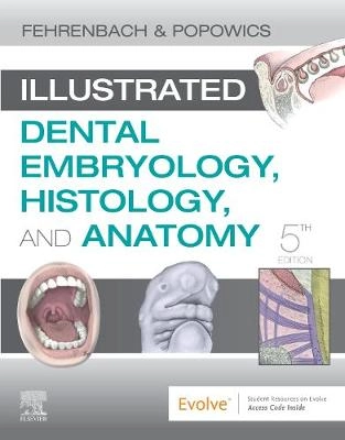 Illustrated Dental Embryology, Histology, and Anatomy; Margaret J Fehrenbach; 2020