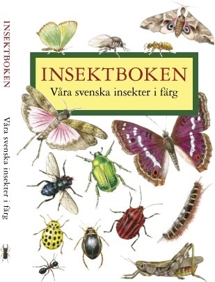 Insektboken : 250 svenska insekter i färg; Elisabeth Hagström, Torkel Hagström; 2010