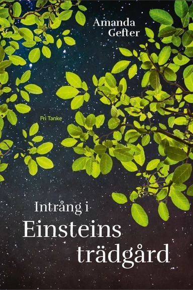 Intrång i Einsteins trädgård : en far, en dotter, ingentings mening och alltings början; Amanda Gefter; 2016