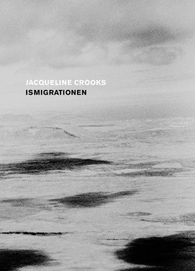 Ismigrationen; Jacqueline Crooks; 2021