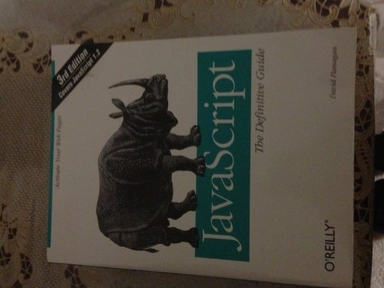 JavaScript : the definitive guide; David Flanagan; 1998