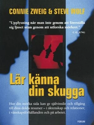 Lär känna din skugga; Connie Zweig, Steve Wolf; 2000