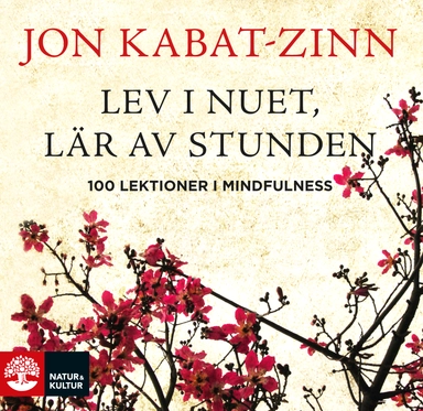 Lev i nuet, lär av stunden : 100 lektioner i mindfulness; Jon Kabat-Zinn; 2010