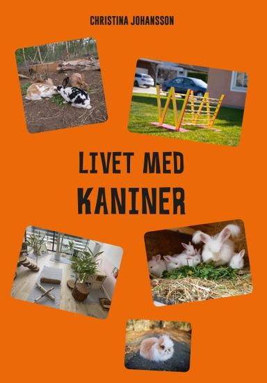 Livet med kaniner; Christina Johansson; 2021