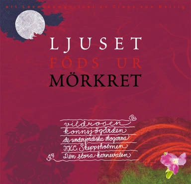 Ljuset föds ur mörkret; Claes von Rettig; 2010