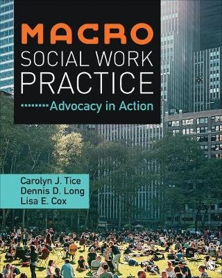 Macro social work practice : advocacy in action; Carolyn J. Tice; 2020