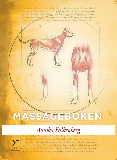 Massageboken; Annika Falkenberg; 2020