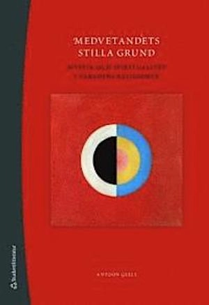 Medvetandets stilla grund : mystik och spiritualitet i världens religioner; Antoon Geels; 2008