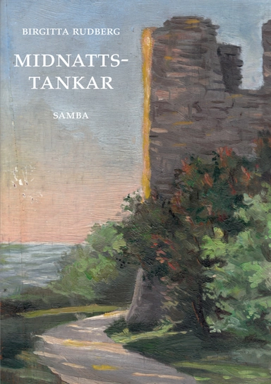 Midnattstankar; Birgitta Rudberg; 2013