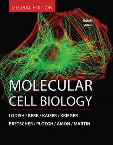 Molecular Cell Biology; Kelsey C. Martin, Harvey Lodish, Arnold Berk, Chris A. Kaiser; 2016