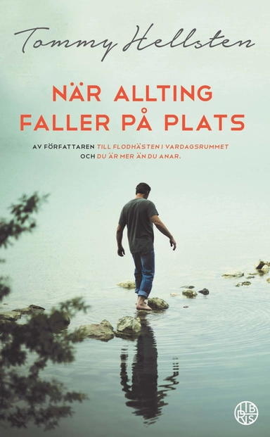 När allting faller på plats; Tommy Hellsten; 2017