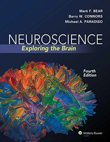 Neuroscience; Mark F Bear, Barry W Connors, Michael A Paradiso; 2015